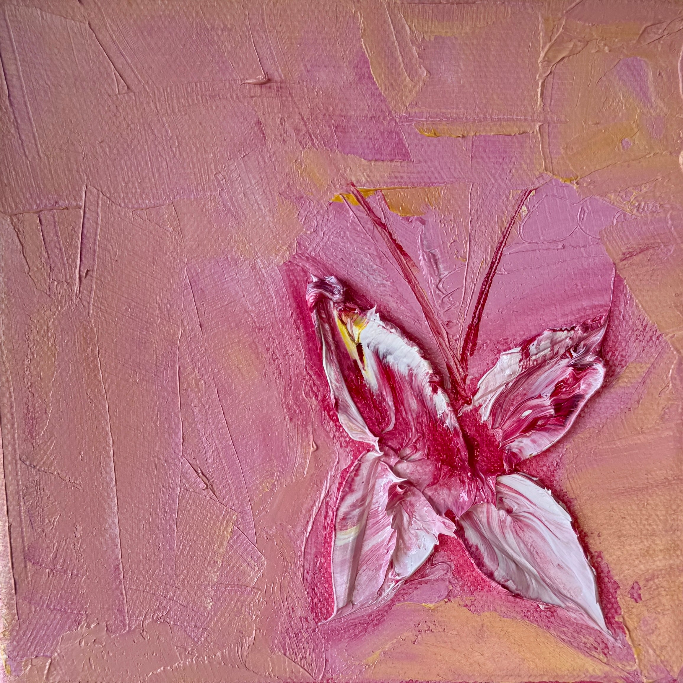 Blushing Butterfly